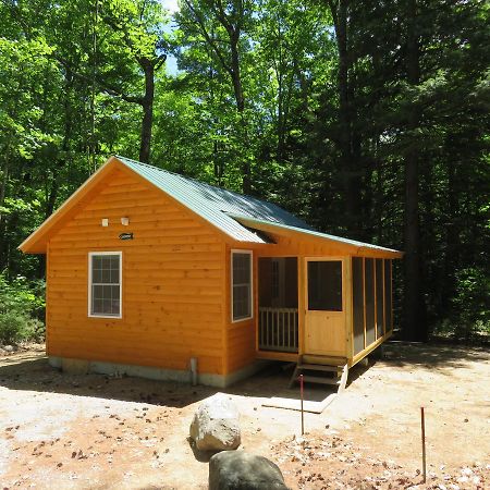 Okie Dokie Cabins Tamworth Bagian luar foto